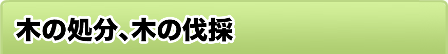 木の処分、木の伐採