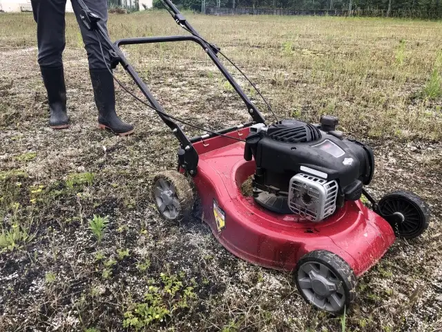 草刈り作業