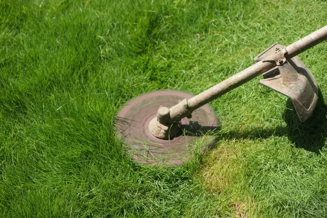 実家の庭の草刈り