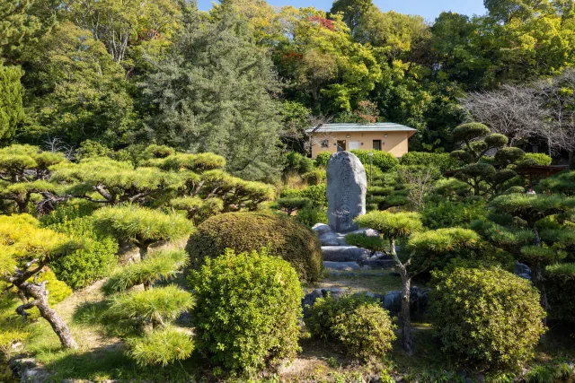 安全第一のプロの伐採技術